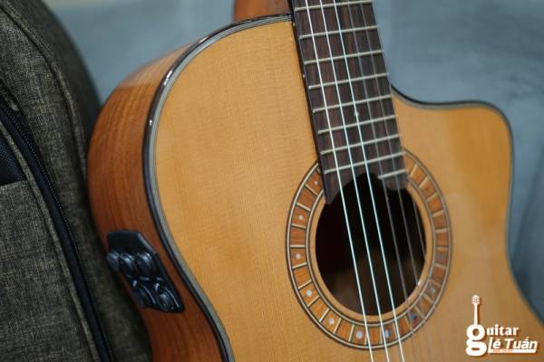 Guitar classic Martinez MP14 MH - Hình ảnh 4