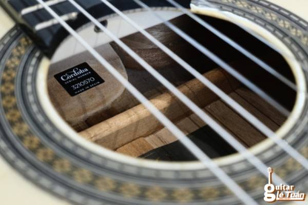 Cordoba 55FCE Negra - Ziricote Limited Edition (made in Spain) - Hình ảnh 4